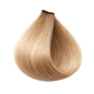 ETB Hair ColorVerse Vopsea de păr profesională permanentă, fără amoniac și vegană 10.9 Blond Platinat Sandre
